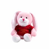 USC Trojans Bunny Nursery Pal Plush